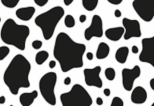moai_deurmatten_droogloopmatten_logomatten_schoonloopmatten_inloopmatten_entreematten_lopers_deurmat_op_maat_853228416